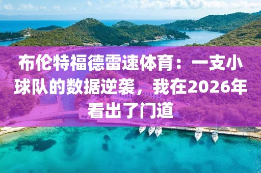 布伦特福德雷速体育：一支小球队的数据逆袭，我在2026年看出了门道