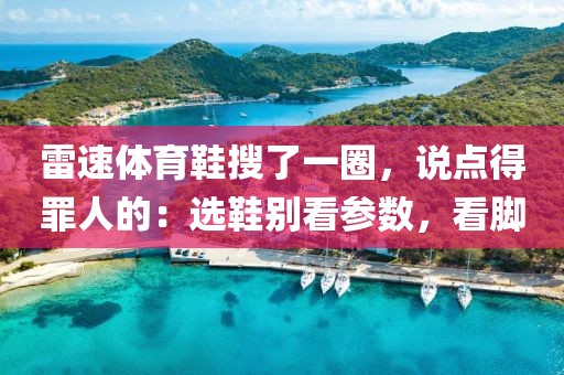 雷速体育鞋搜了一圈，说点得罪人的：选鞋别看参数，看脚