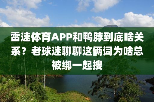 雷速体育APP和鸭脖到底啥关系？老球迷聊聊这俩词为啥总被绑一起搜