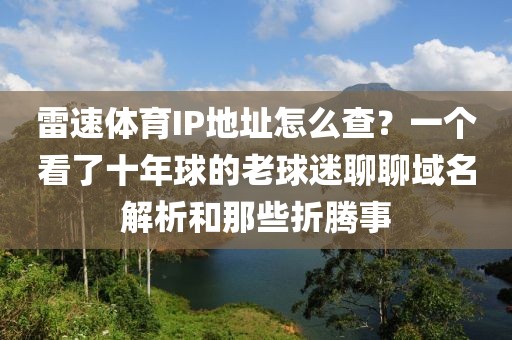 雷速体育IP地址怎么查？一个看了十年球的老球迷聊聊域名解析和那些折腾事